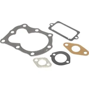 Briggs And Stratton - 795972 - Valve Gasket Set