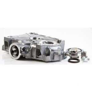 Briggs and Stratton
