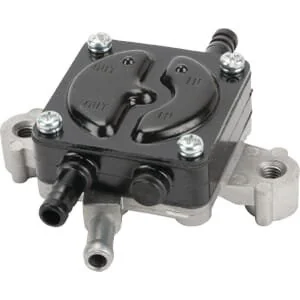 Briggs and Stratton