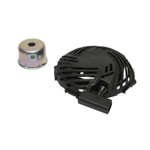 Briggs And Stratton