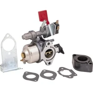 Briggs and Stratton