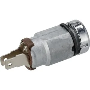 Briggs and Stratton