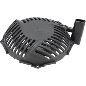 Briggs and Stratton