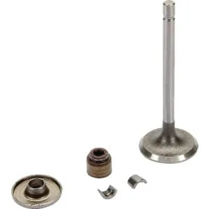 Briggs And Stratton - 843751 - Intake Valve