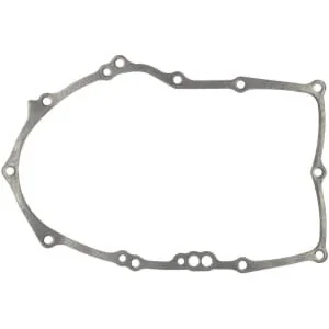 Briggs And Stratton - 843969 - Gasket-Crankcase/015