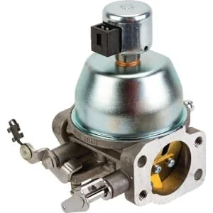 Briggs and Stratton