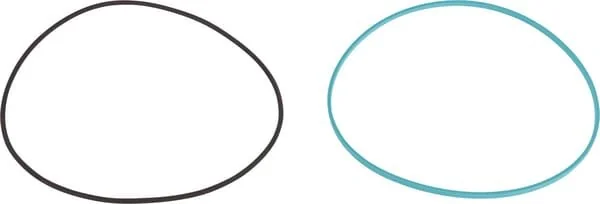 Carraro - 831991 - Oil Seal Kit
