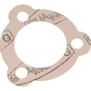 Casappa - SR99001 - Gasket For SR9