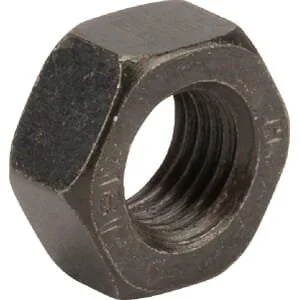 Castelgarden - 1122932020 - Nut