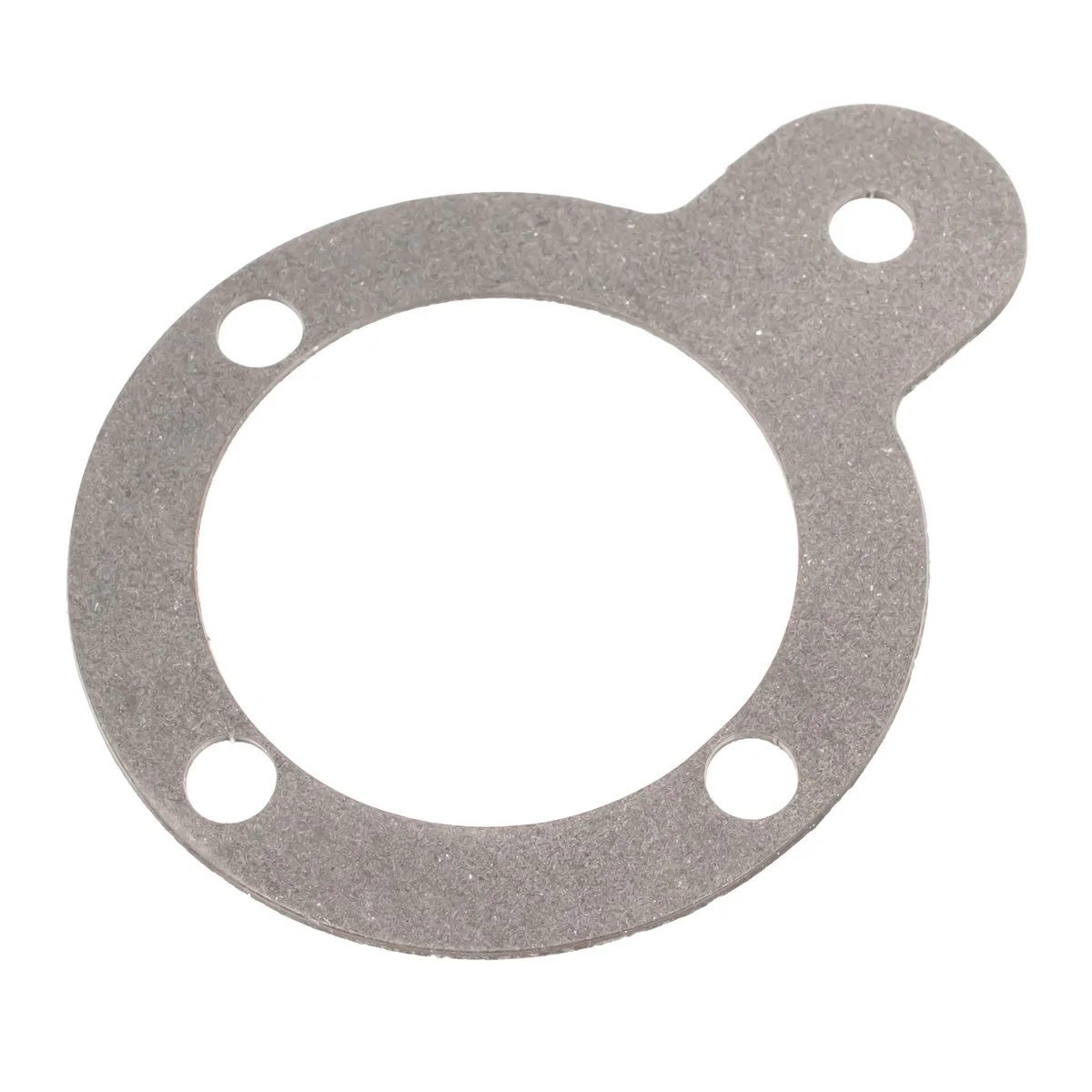 Cedrus - 131567 - Governor Housing Gasket Plate Compactor CEDZG03