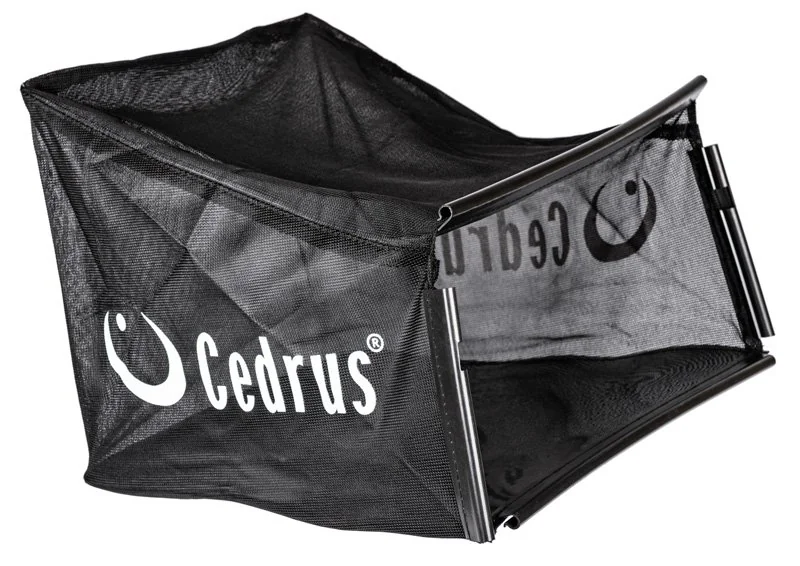 Cedrus