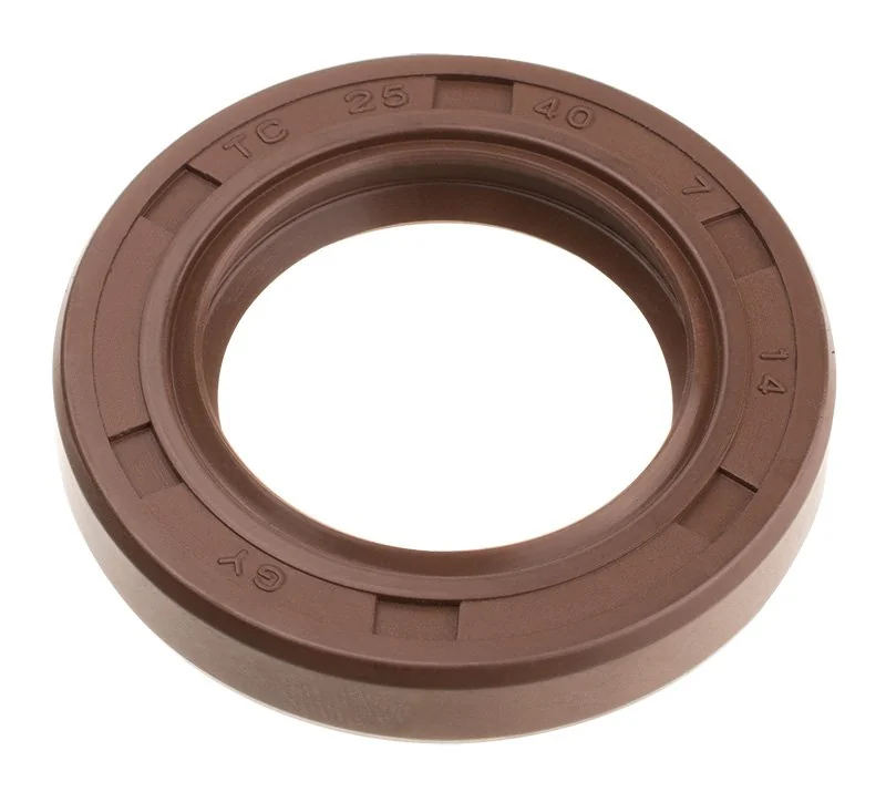 Cedrus - 480535 - Y196V Y145V