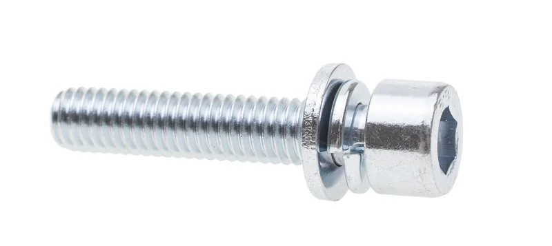 Cedrus - 70068 - Cover Screw Leaf Blower DM01