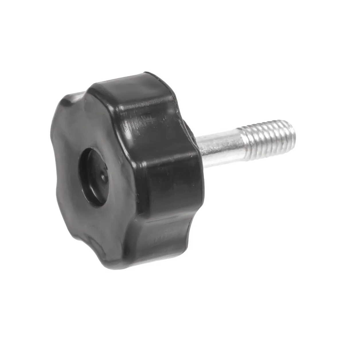 Cedrus - 70166 - Guard Screw Leaf Blower DM02