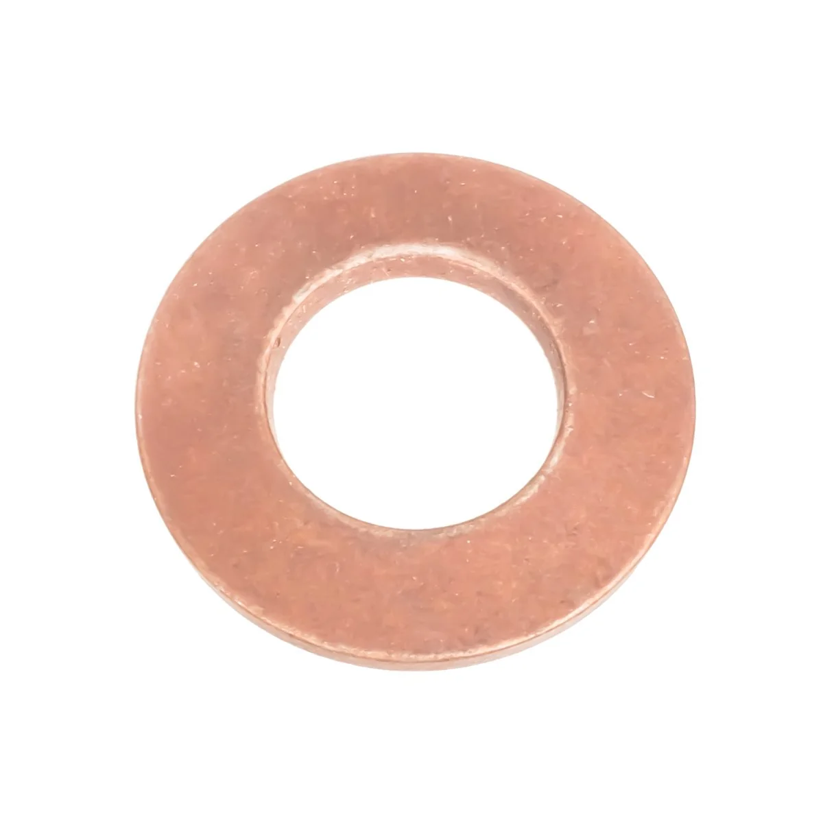 Cedrus - 70748 - Washer Plate Compactor ZG04