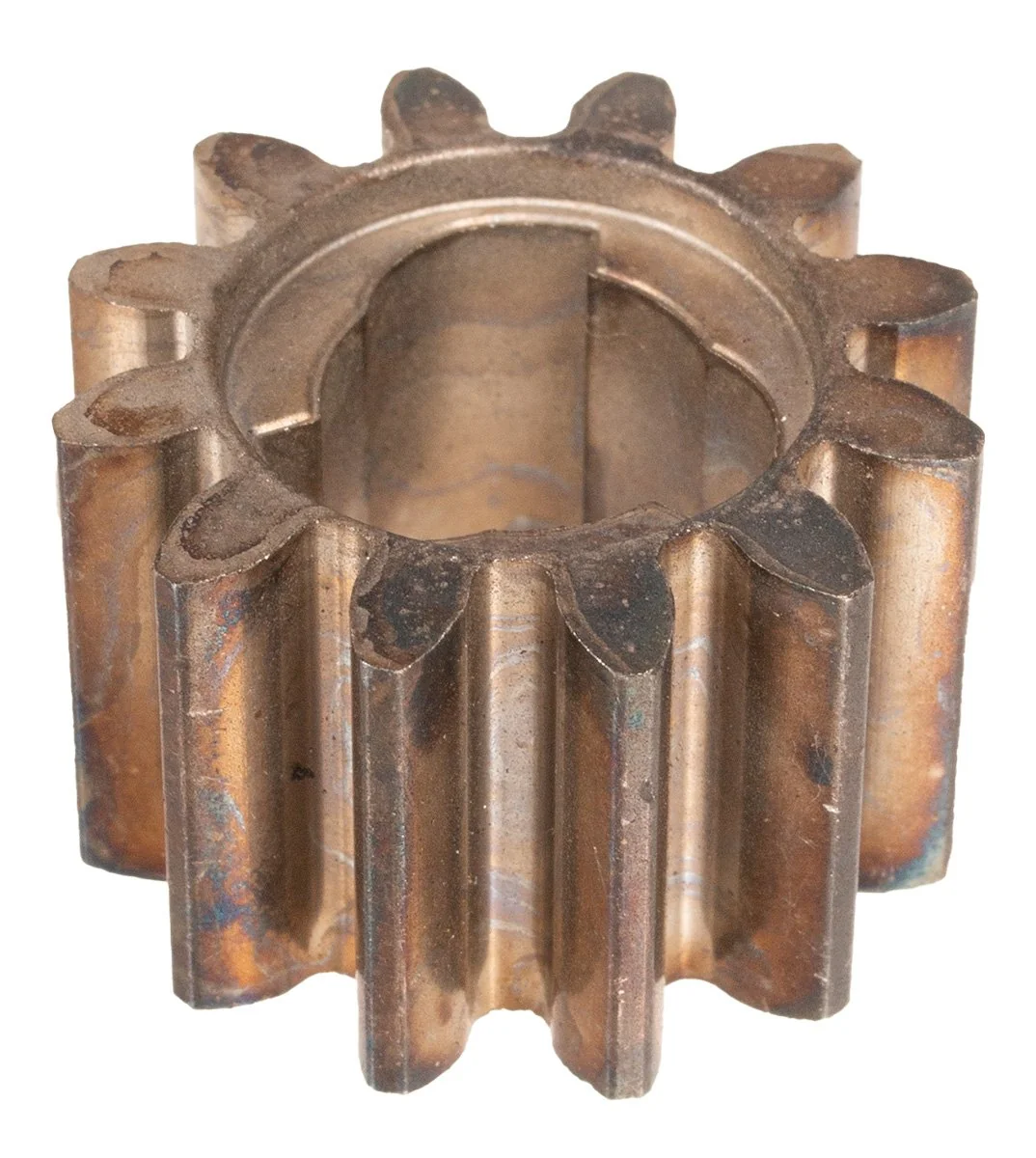 Cedrus - KCL16B-27 - KCL21SP