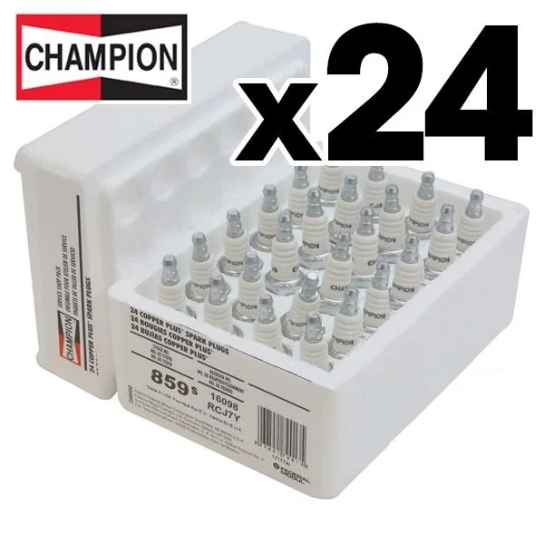 Champion