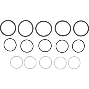 DNP - SKS9F25SEALP005N - Gasket Kit For SKS-F-25 (5x)