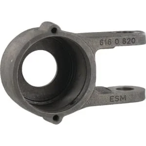 ESM