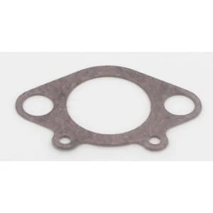 Etesia - 18016 - Intake Gasket