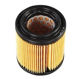 Etesia - 19065 - Air Filter
