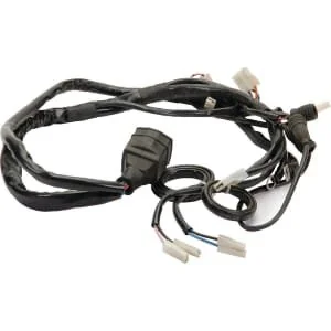 Etesia - 29876 - Motor Cabling