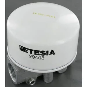Etesia