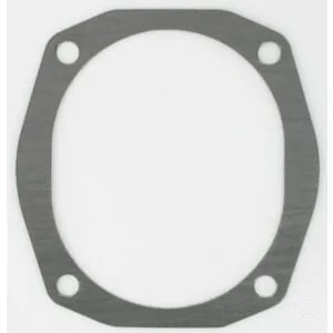 Fendt (AGCO) - F180200210200 - Hydraulic Pump Cover Gasket