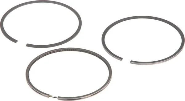 Fendt (AGCO) - F199204310030 - Piston Ring Set