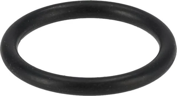 Fendt (AGCO) - F339860060050 - O-Ring