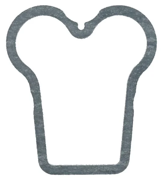 Fendt (AGCO) - F385200210171 - Rocker Cover Gasket