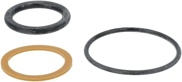Fendt (AGCO) - F718960100010 - Seal Kit