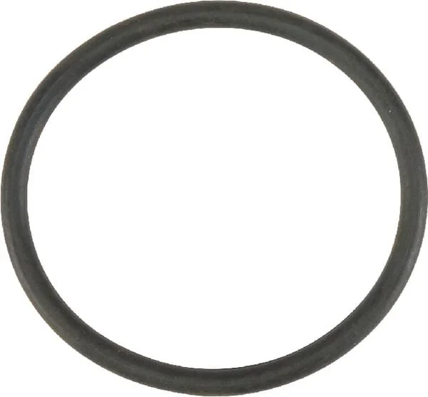 Fendt (AGCO) - F816200710040 - Lift Pump Gasket