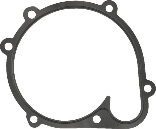 Fendt (AGCO) - F842201610080 - Water Pump Gasket
