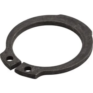 Fpt Industrial - 16866873FPT - Circlip