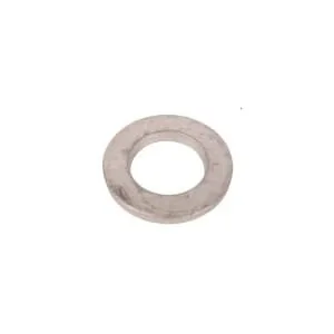 Fpt Industrial - 17091674FPT - Spring Washer