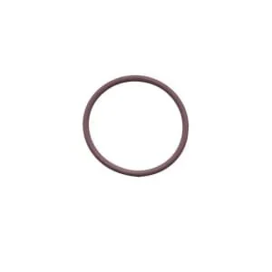 Fpt Industrial - 17278981FPT - O-Ring