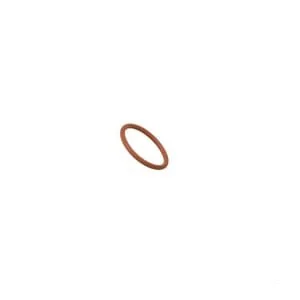 Fpt Industrial - 17289281FPT - O-Ring
