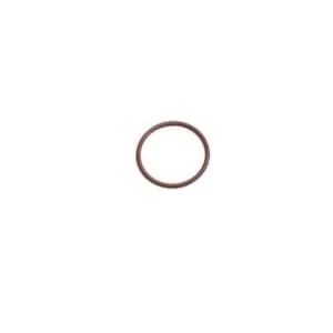 Fpt Industrial - 17289781FPT - O-Ring
