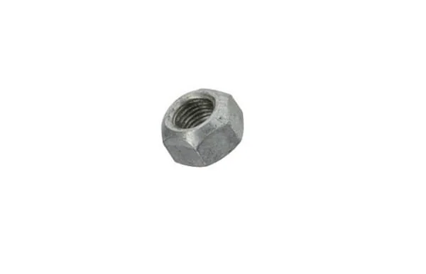 Fpt Industrial - 17309031FPT - Nut