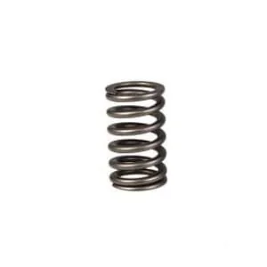 Fpt Industrial - 2831473FPT - Valve Spring