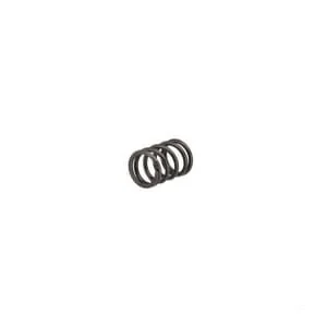 Fpt Industrial - 4812347FPT - Valve Spring