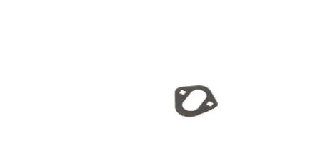 Fpt Industrial - 4890700FPT - Injection Pump Gasket