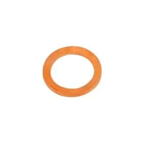 Fpt Industrial - 4894721FPT - Seal Ring