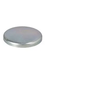 Fpt Industrial - 4895038FPT - Plug