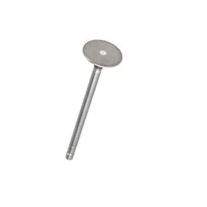 Fpt Industrial - 4895051FPT - Exhaust Valve