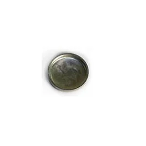 Fpt Industrial - 4895407FPT - Plug