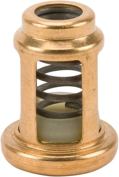 Fpt Industrial - 4896410FPT - Oil Pressure Valve
