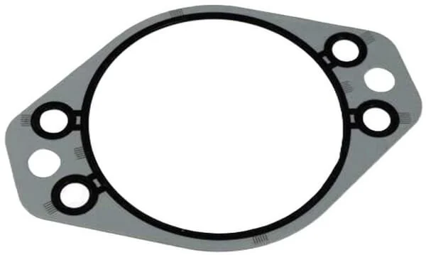 Fpt Industrial - 4896897FPT - Gasket