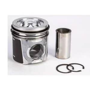 Fpt Industrial - 500055469FPT - Piston Assembly